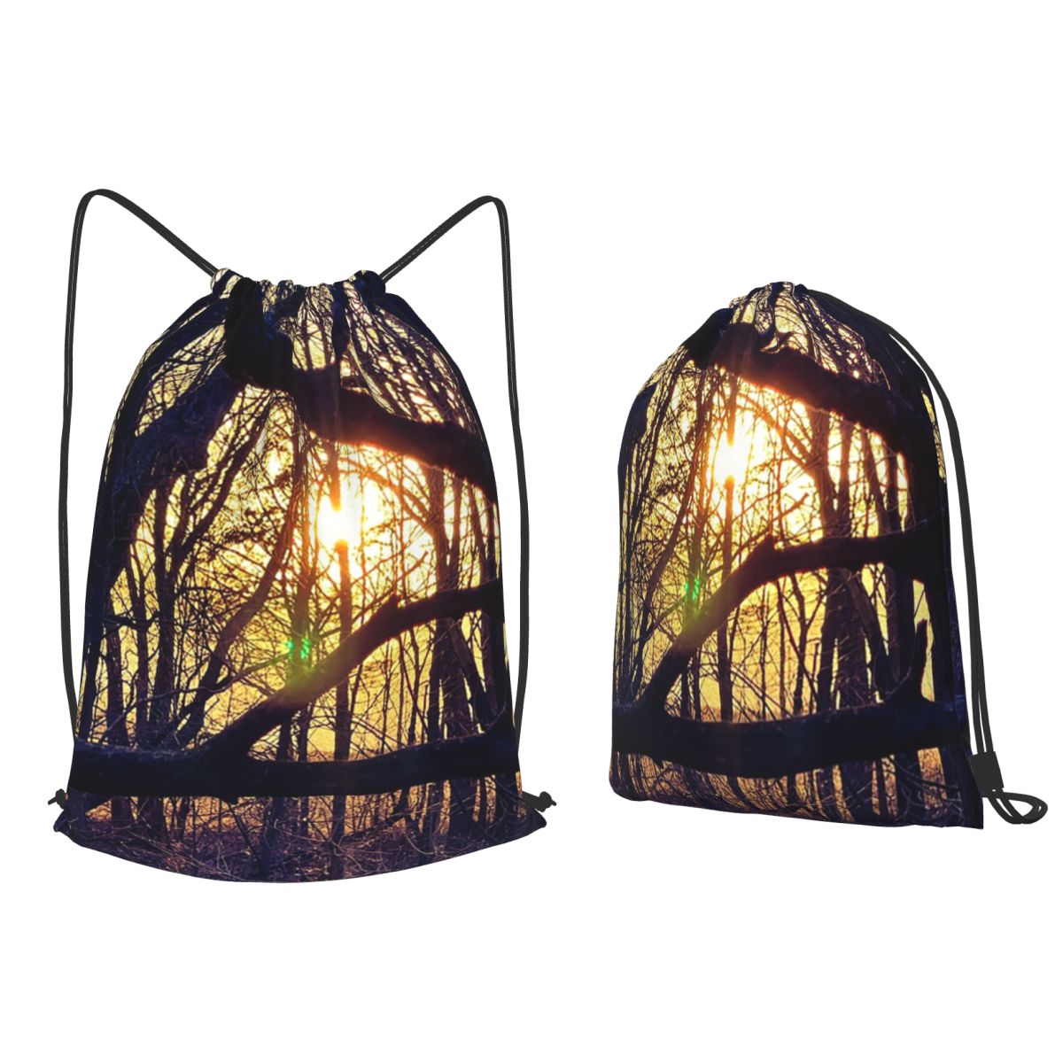 Forest Light At Sunset Nature  - Lighting In Photography Book 리뷰 및 가격