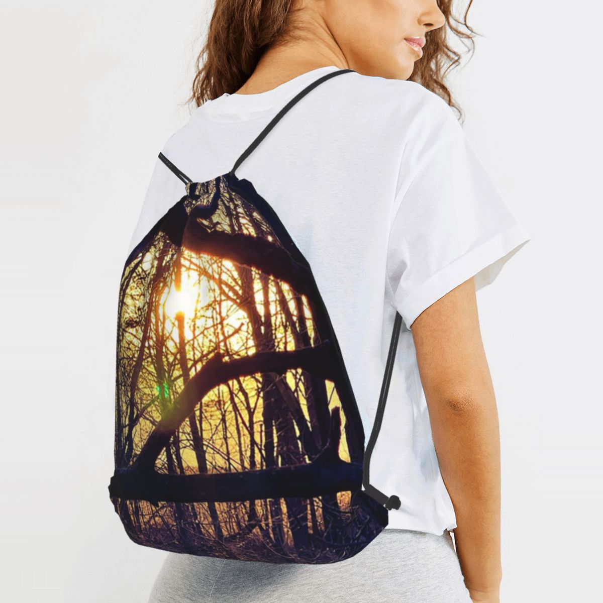 Forest Light At Sunset Nature  - Lighting In Photography Book 리뷰 및 가격