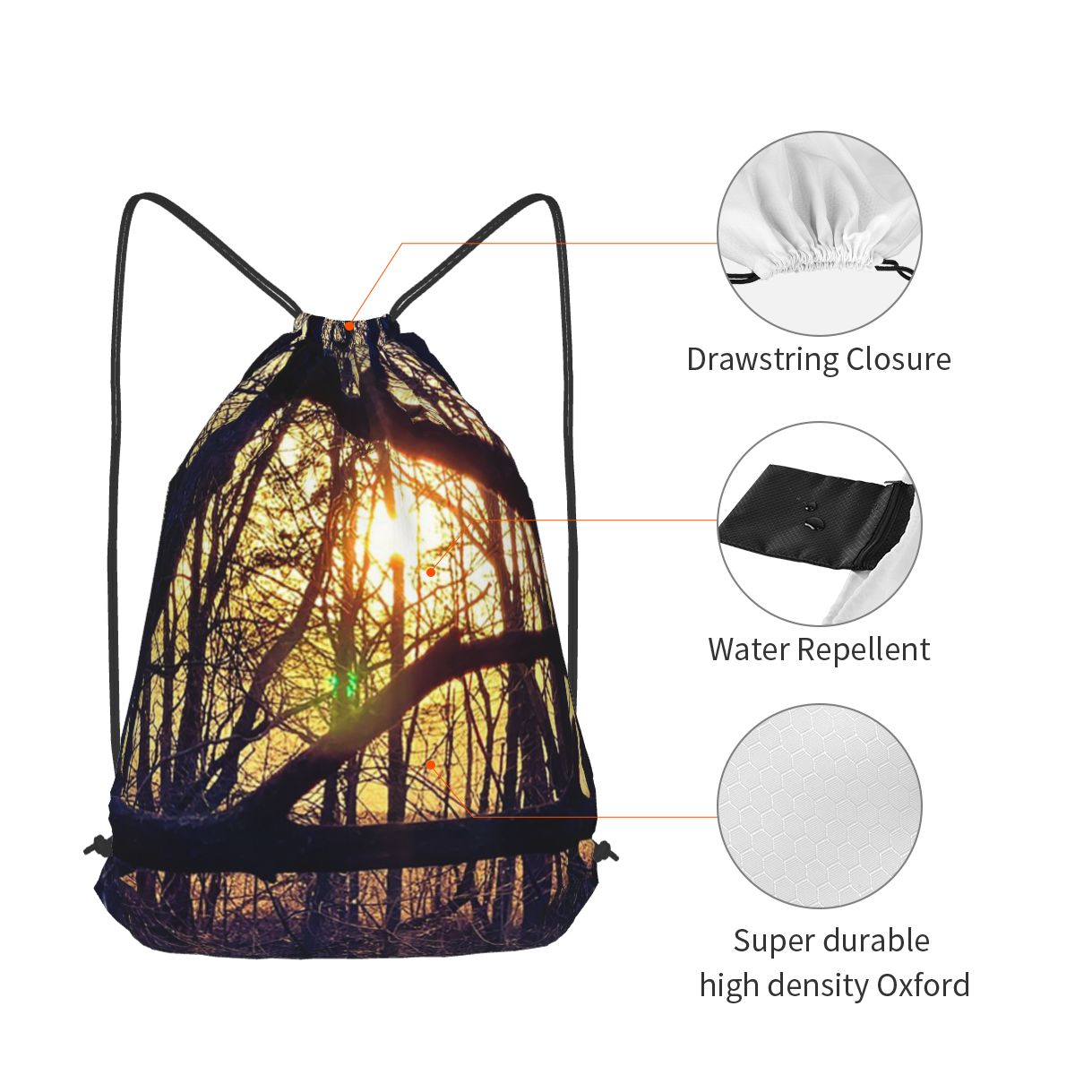 Forest Light At Sunset Nature  - Lighting In Photography Book 리뷰 및 가격