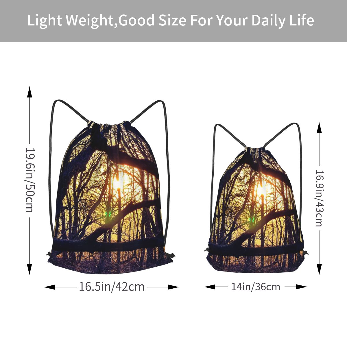 Forest Light At Sunset Nature  - Lighting In Photography Book 리뷰 및 가격