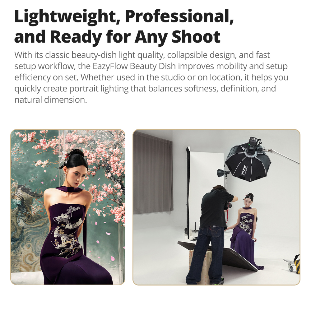 New Godox EazyFlow Beauty Dish - Photography Lighting Design 리뷰 및 가격